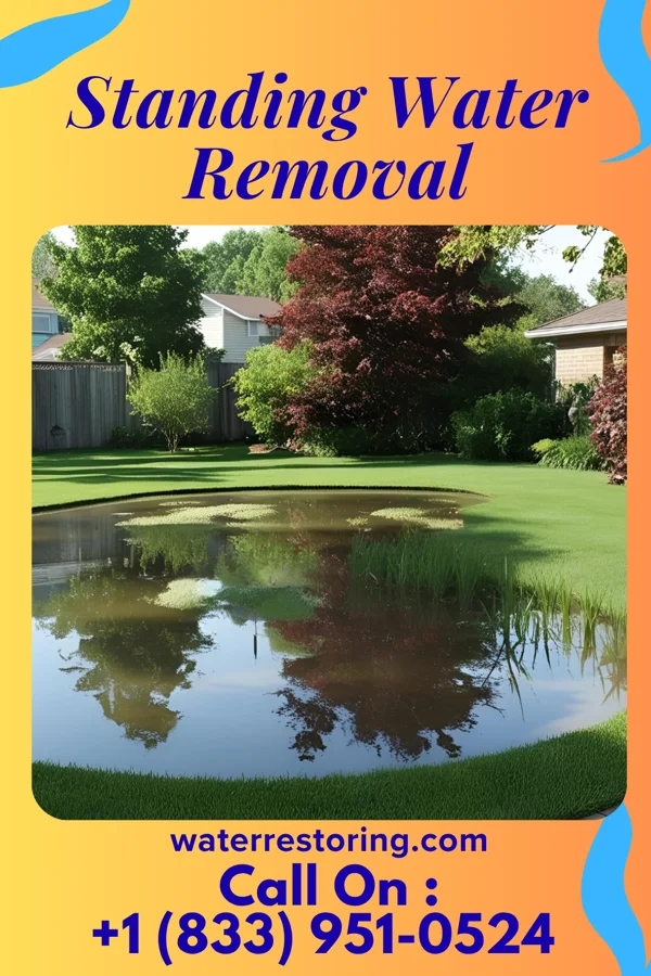 Standing Water Removal in Helena-West Helena, AR
